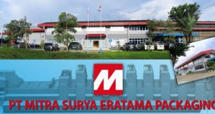 PT Mega Surya Eratama