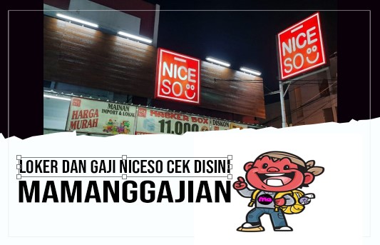 Loker dan Gaji NiceSo Cek Disini