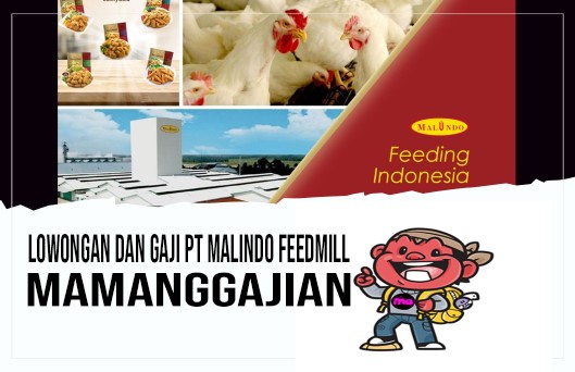 Lowongan dan Gaji PT Malindo Feedmill