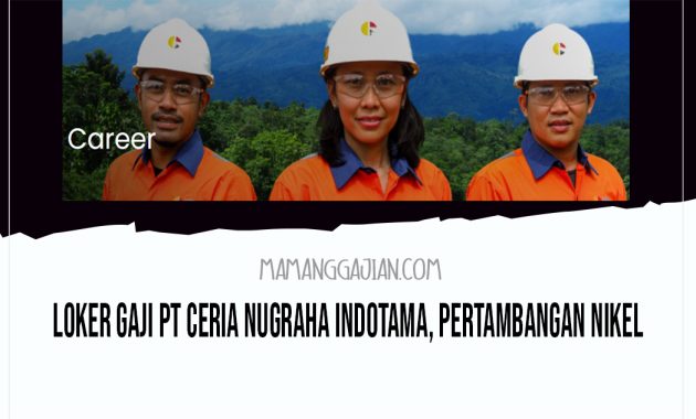 Loker Gaji PT Ceria Nugraha Indotama, Pertambangan Nikel