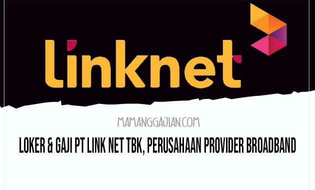 Loker & Gaji PT Link Net Tbk, Perusahaan Provider Broadband