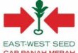 Gaji PT East West Seed Indonesia