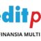 Gaji PT KB Finansia Multi Finance