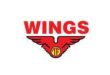 Gaji PT Wings Group