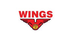 Gaji PT Wings Group