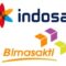 Gaji PT Bimasakti Multi Sinergi