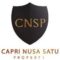 Gaji PT Capri Nusa Satu Properti Tbk