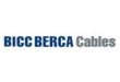 Gaji PT BICC BERCA Cables