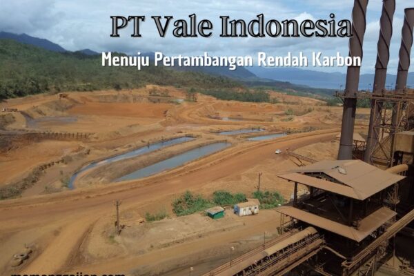 PT Vale Indonesia