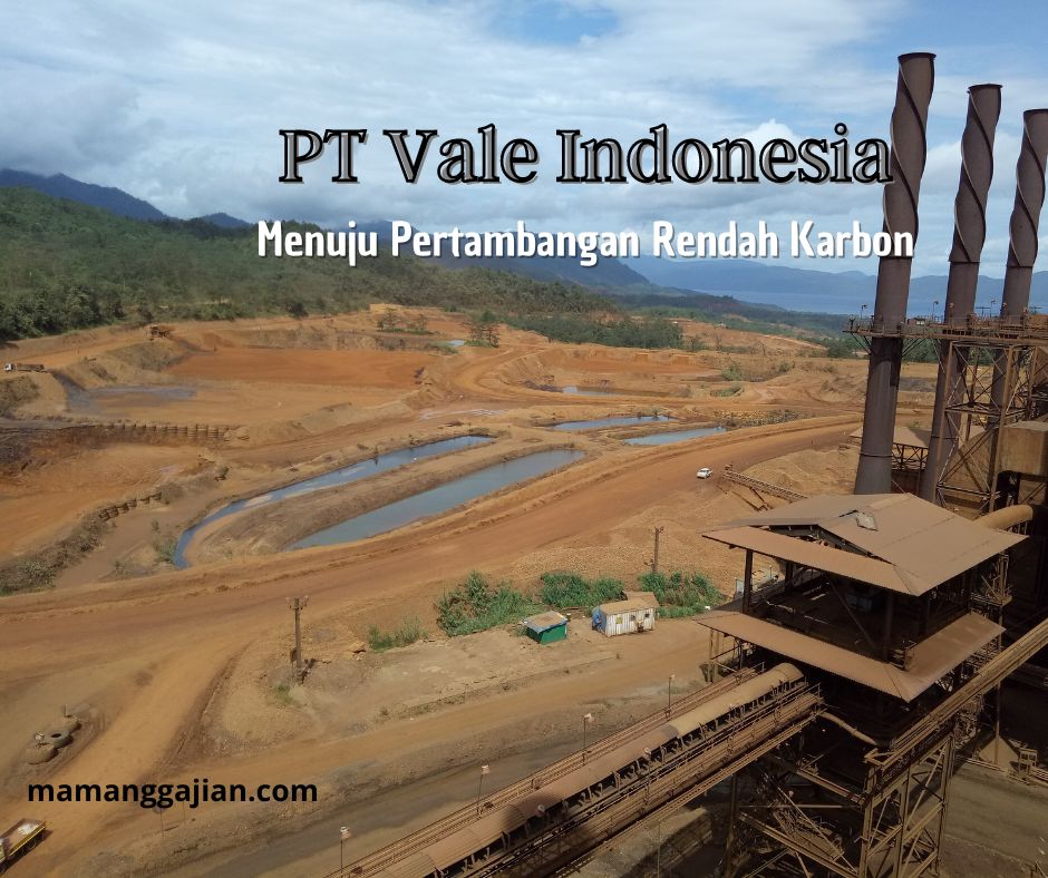 PT Vale Indonesia