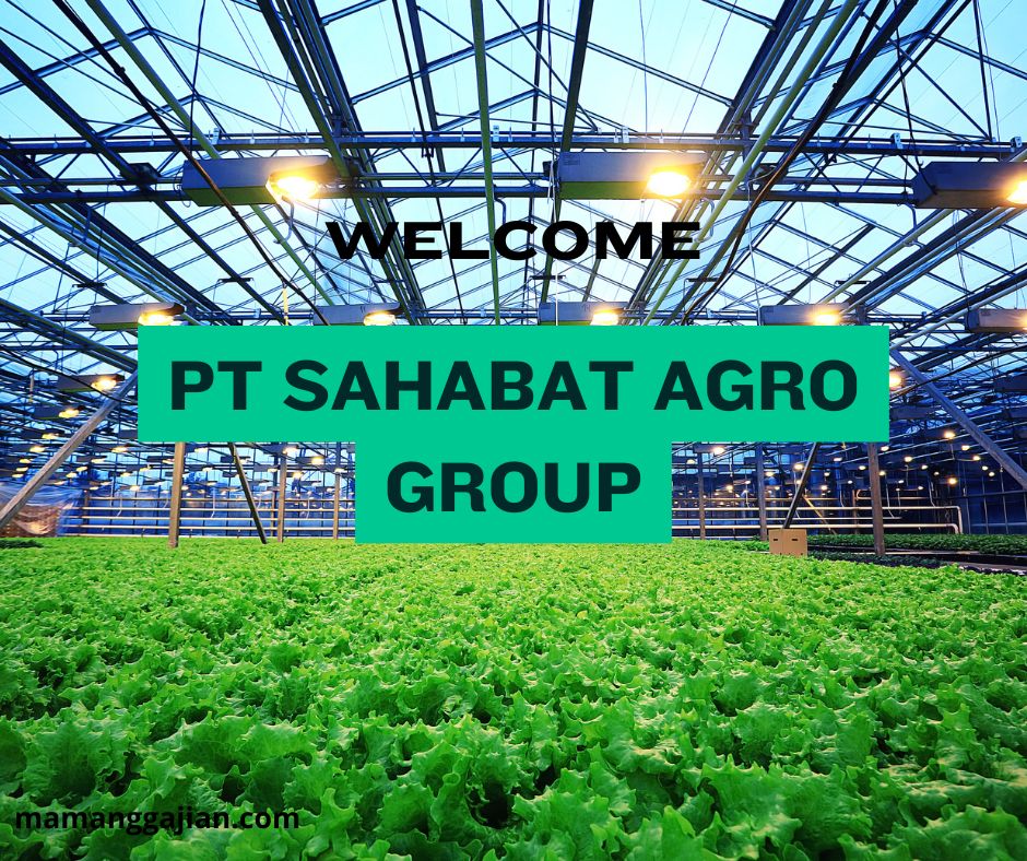 Gaji Terkini PT Sahabat Agro Group