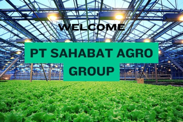 Gaji Terkini PT Sahabat Agro Group