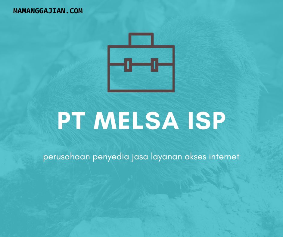 PT Melsa Isp