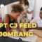 PT CJ Feed Jombang