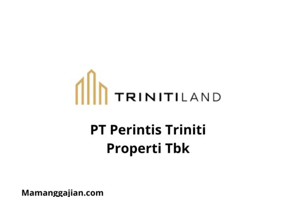 Gaji PT Perintis Triniti Properti Tbk 2024