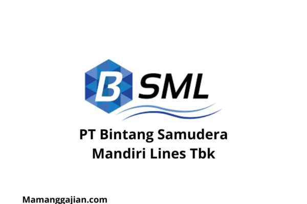 Gaji PT Bintang Samudera Mandiri Lines Tbk 2024