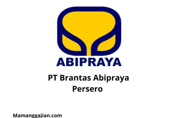 Gaji PT Brantas Abipraya Persero 2024