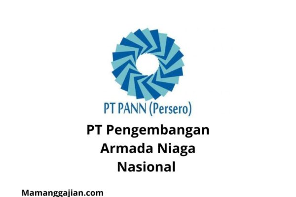 Gaji PT Pengembangan Armada Niaga Nasional 2024