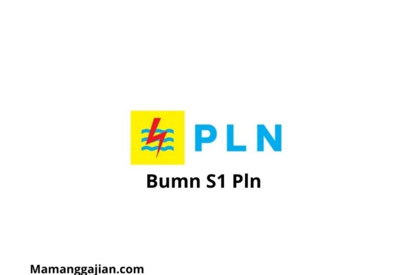 Gaji Bumn S1 Pln 2024