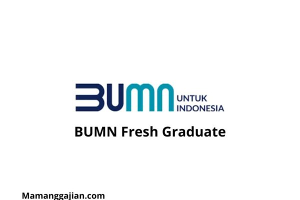 Gaji BUMN S1 Fresh Graduate 2024