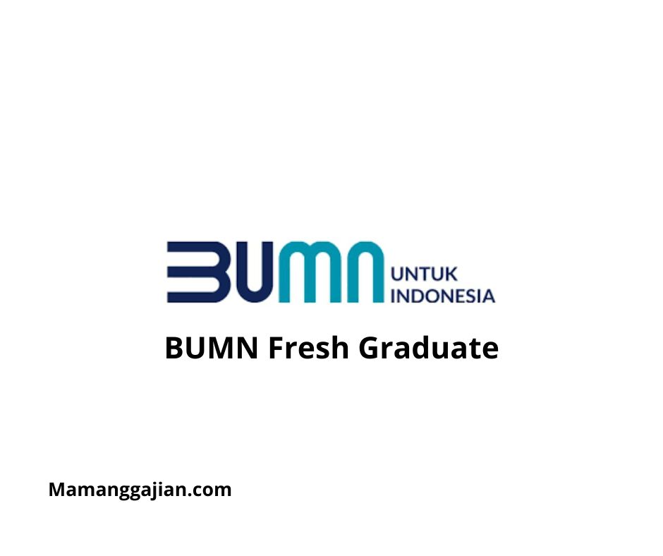 Gaji BUMN S1 Fresh Graduate 2024