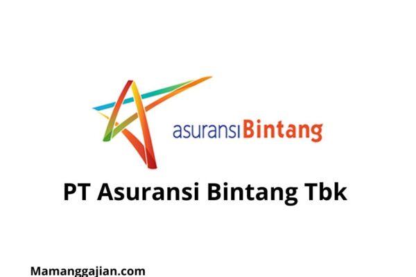 Gaji PT Asuransi Bintang Tbk 2024