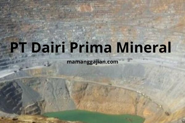 Gaji PT Dairi Prima Mineral 2024