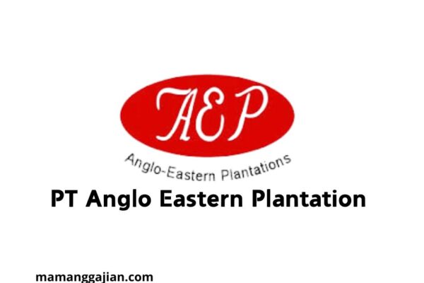 Gaji PT Anglo Eastern Plantation 2024