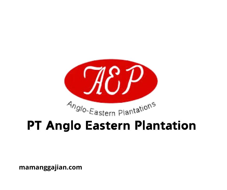 Gaji PT Anglo Eastern Plantation 2024