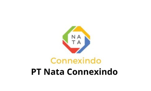 Gaji PT Nata Connexindo 2024